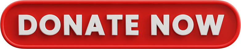 Donate Now Button 3D Illustration